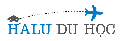 Mẫu giao diện thiết kế website du học